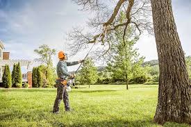 Best Storm Damage Tree Cleanup  in Britton, SD